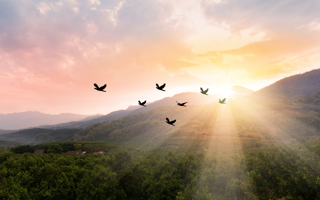 The Importance Of Grieving Your Desires!