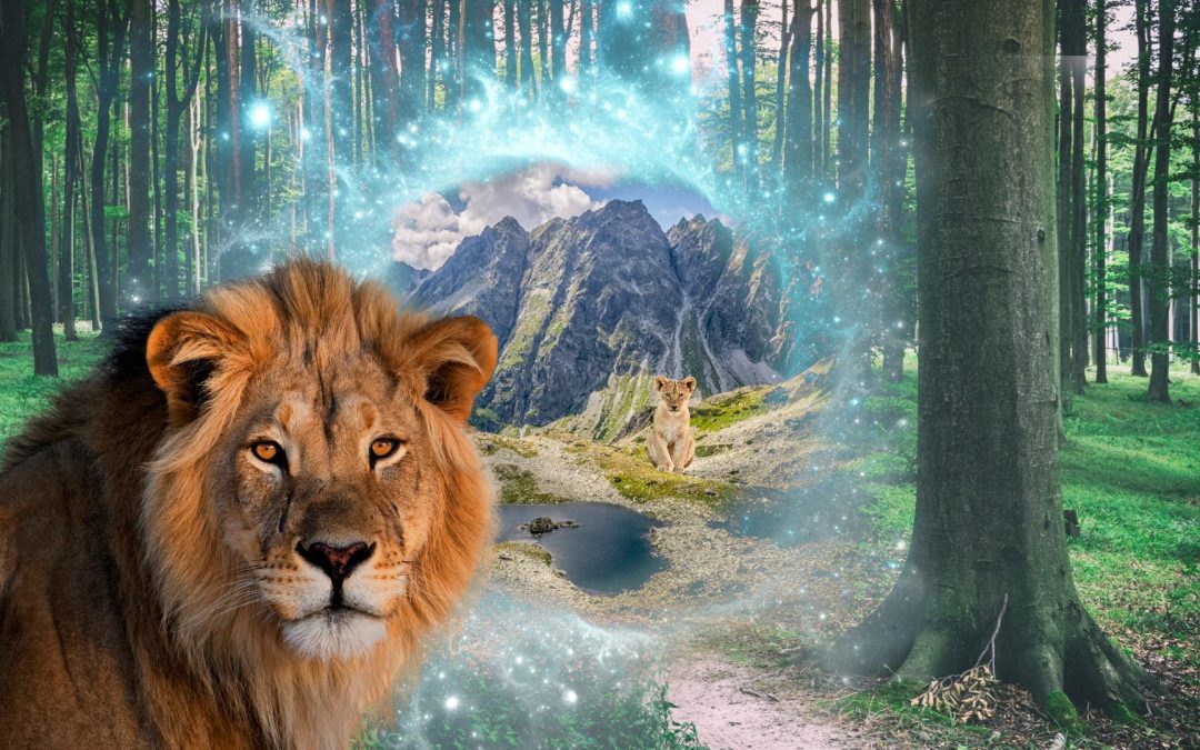 How to get the most out of the Lion’s Gate Portal every year?